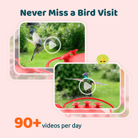 BIRDFY - Smart Hummingbird Feeder, w/Dual HD Cameras, Solar Power, and AI Enabled Bird Recognition - Red and White