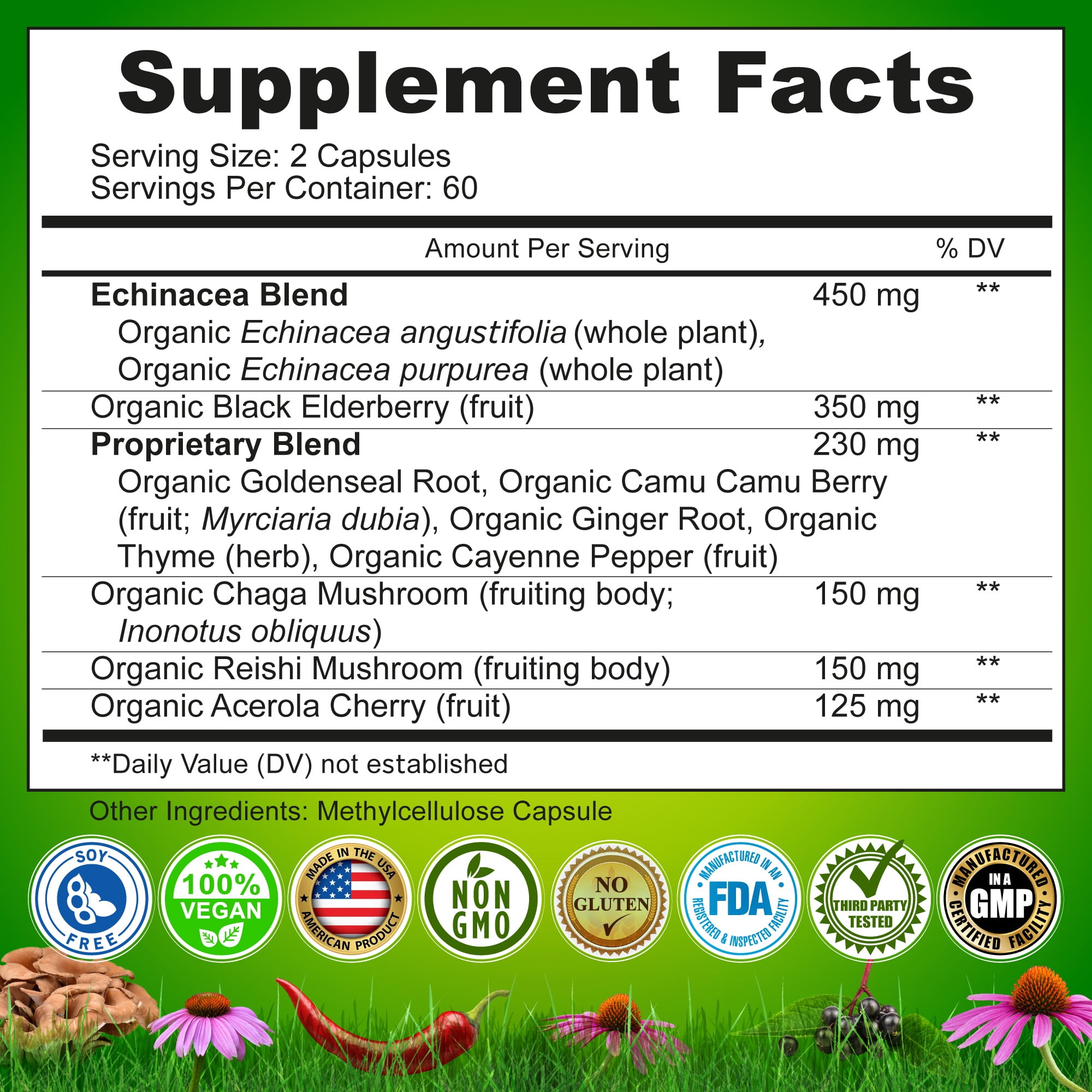 Nutrition Restore Echinacea Goldenseal Capsules 10 in 1 Vegan Herbal Immune Support Supplement, 120 Count