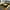 HJ0013-Flannel-4, variant on European Living Room Carpet Large Size Golden Non Slip Rug Luxury ration Rugs Washable Lounge Floor