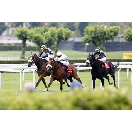 - Canvas Print Gallop Riding Horse Horses Italy Race Trot Sweat Stretched Canvas 10 x 14