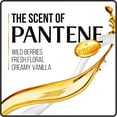 thumbnail image 2 of Pantene Pro-V Daily Moisture Renewal Shampoo (38.2 fl. oz.), 2 of 2
