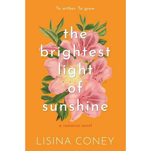 Brightest Light Brightest Light of Sunshine, Book 1, (Paperback)