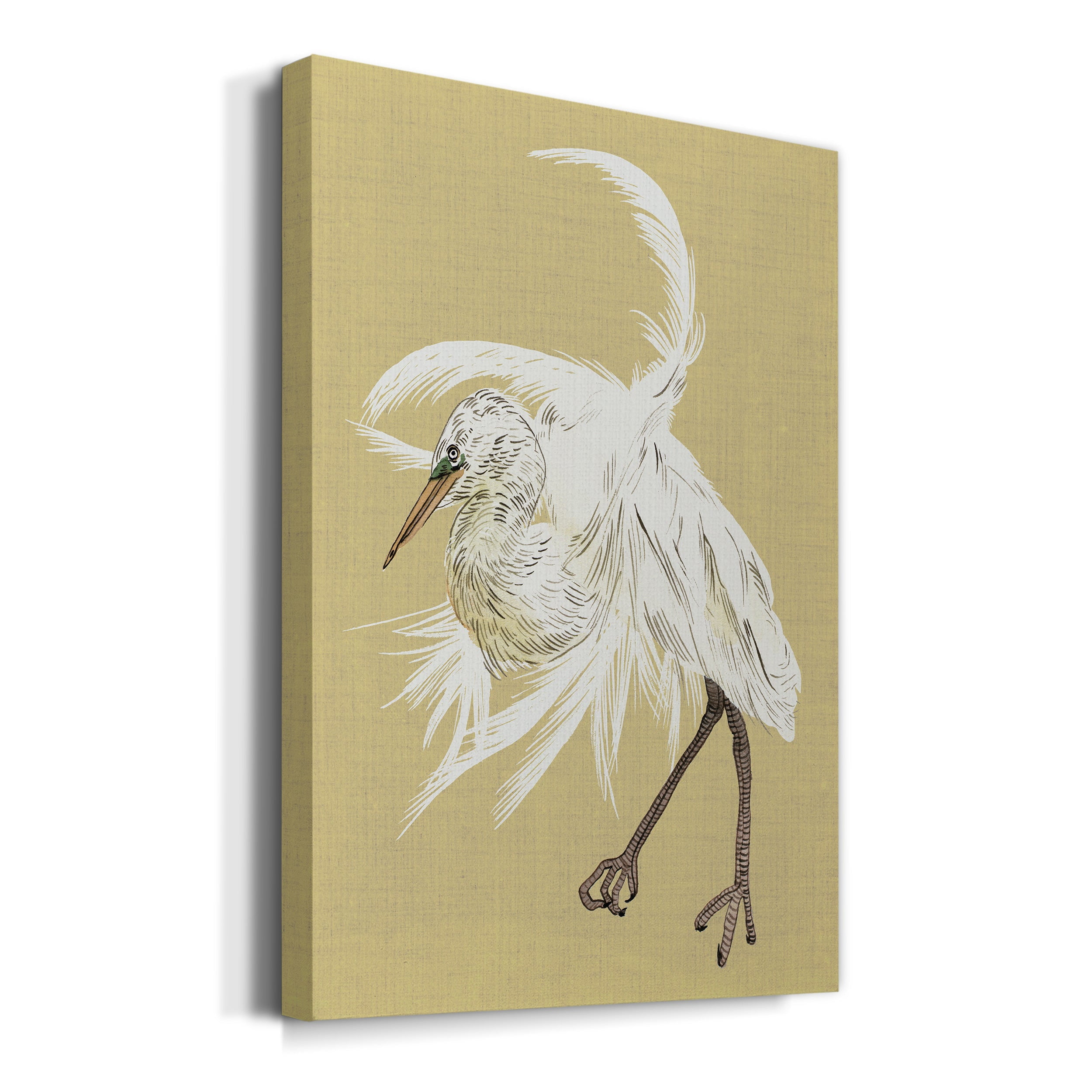 Heron Plumage VI Premium Gallery Wrapped Canvas - Ready to Hang