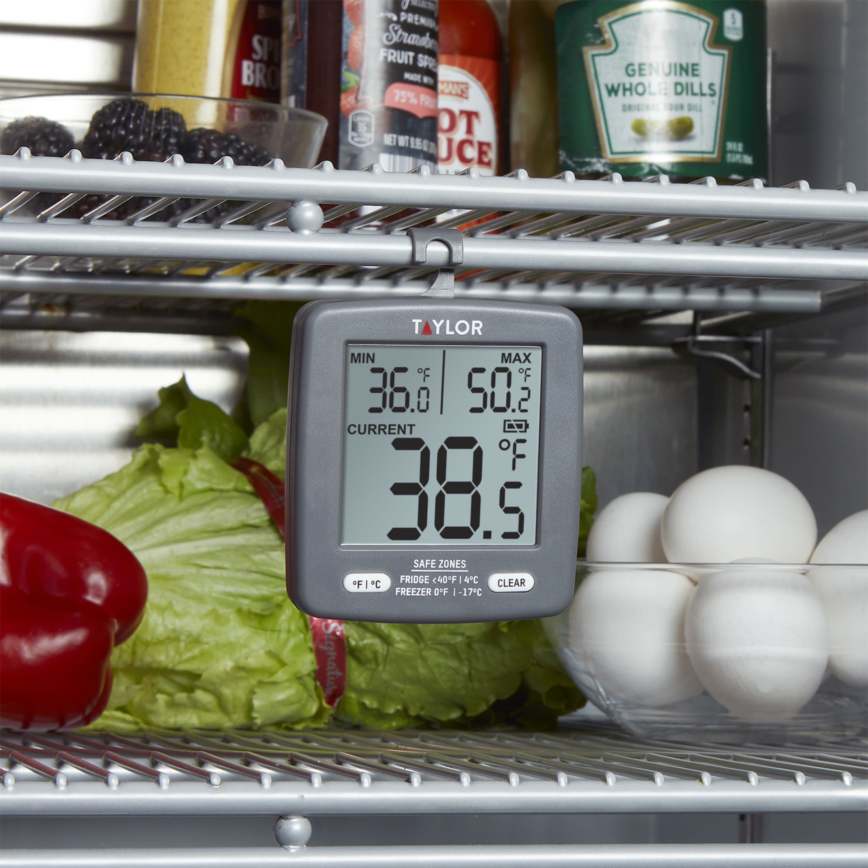 Taylor TruTemp Freezer/Refrigerator Thermometer