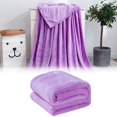 thumbnail image 2 of Bizhua Blanket This Is A Solid Color Double Velvet Bed Sheet and Blanket with A Physical Towel of 70X100Cm, One Blanket, 2 of 4