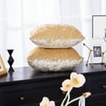 thumbnail image 7 of Deconovo Crushed Velvet Pillow Covers Champaign Square Pillowcase Pack of 2 for Sofa 16 x 16 inch, 7 of 7