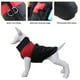 thumbnail image 5 of Greeniant Abrigo de invierno para mascotas de poliéster, chaqueta impermeable y resistente al viento para amigos peludos, cómodo y Type3 NO3, 5 of 6