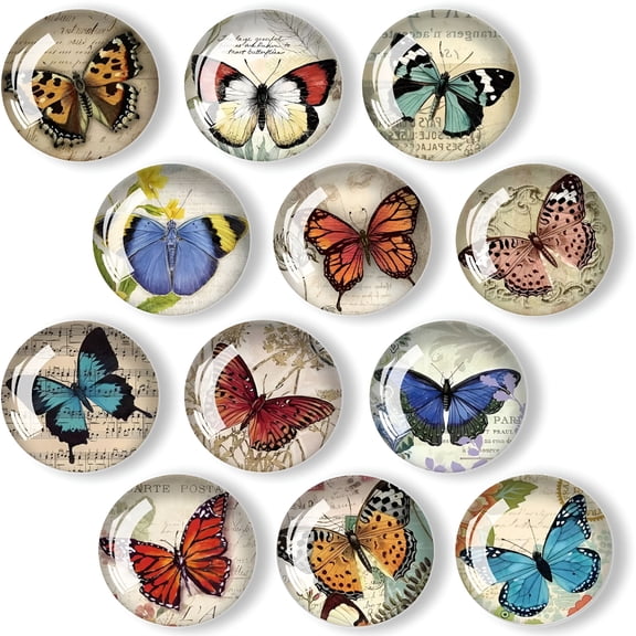 ACDANC Fridge Magnets, Small Multipurpose Magnets for Refrigerator, Whiteboard & Cabinets