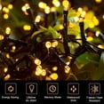 thumbnail image 2 of 25M 1000 LED Luces del árbol Navidad, Blancas Cálidas Luces Navidad para Exteriores con 8 Modos y Memoria, Impermeable Luces Cadena para Casa Bodas Fiestas Jardín patio Navideñas Decoraciones, 2 of 7