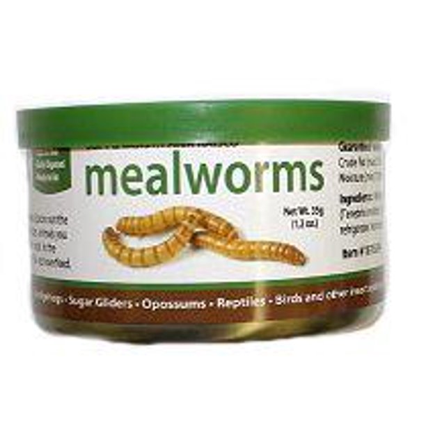 Canned Mealworms 35 g. (6 PACK)