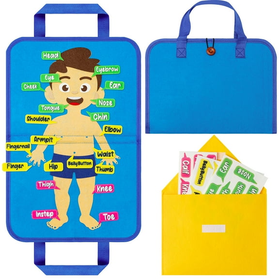 Belanttega Body Cognition Portable Felt Board Story Set Learn The Names Of Body Organs, Interactive Educational Kit For Preschool School Learning Activities