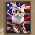 thumbnail image 1 of Cuadros Decorativos 5D bricolaje ronda completa taladro diamante pintura US bandera Animal Kit decoración (sz4214) Wdftyju embutido en tela, 1 of 6