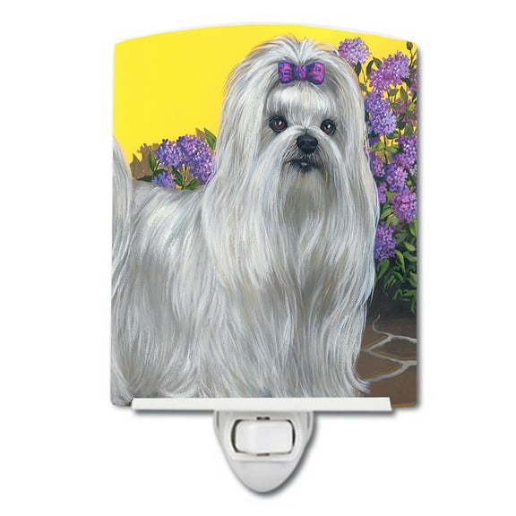 Caroline's Treasures PPP3113CNL Maltese Patio Princess Ceramic Night Light, 6x4x3", multicolor