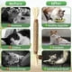 thumbnail image 4 of Juguetes naturales para gatos limpieza molar dientes gatito bocadillos palos tratar productos para mascotas, 4 of 5