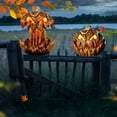 thumbnail image 3 of BESTSKY Noise Activated Pumpkin Animated Talking Pumpkin Decoration Lifting Pumpkin Creates a Spooky Atmospheres for Halloween, 3 of 4