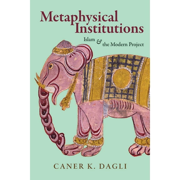 Suny Islam Metaphysical Institutions: Islam and the Modern Project, (Hardcover)