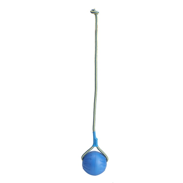 Bola interactiva resistente a la mordedura del entrenamiento del perro del animal doméstico de EVA portátil de los 9cm juguetes para masticar con la cuerda del portador