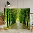 thumbnail image 6 of Red Lantern Room Dividers & Panel Screens, 6 of 8