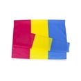 thumbnail image 2 of FLAGLINK Pansexual Flag 3x5Fts – LGBT Pansexuality Omnisexuality Pride Banner, 2 of 6