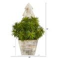 thumbnail image 5 of Nearly Natural 15in. Succulent Artificial Plant in Christmas Tree Planter, 5 of 7