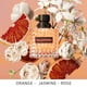thumbnail image 4 of Set Miniatura de Perfumes Valentino Born in Roma 18 ml Trio para Mujer, 4 of 5