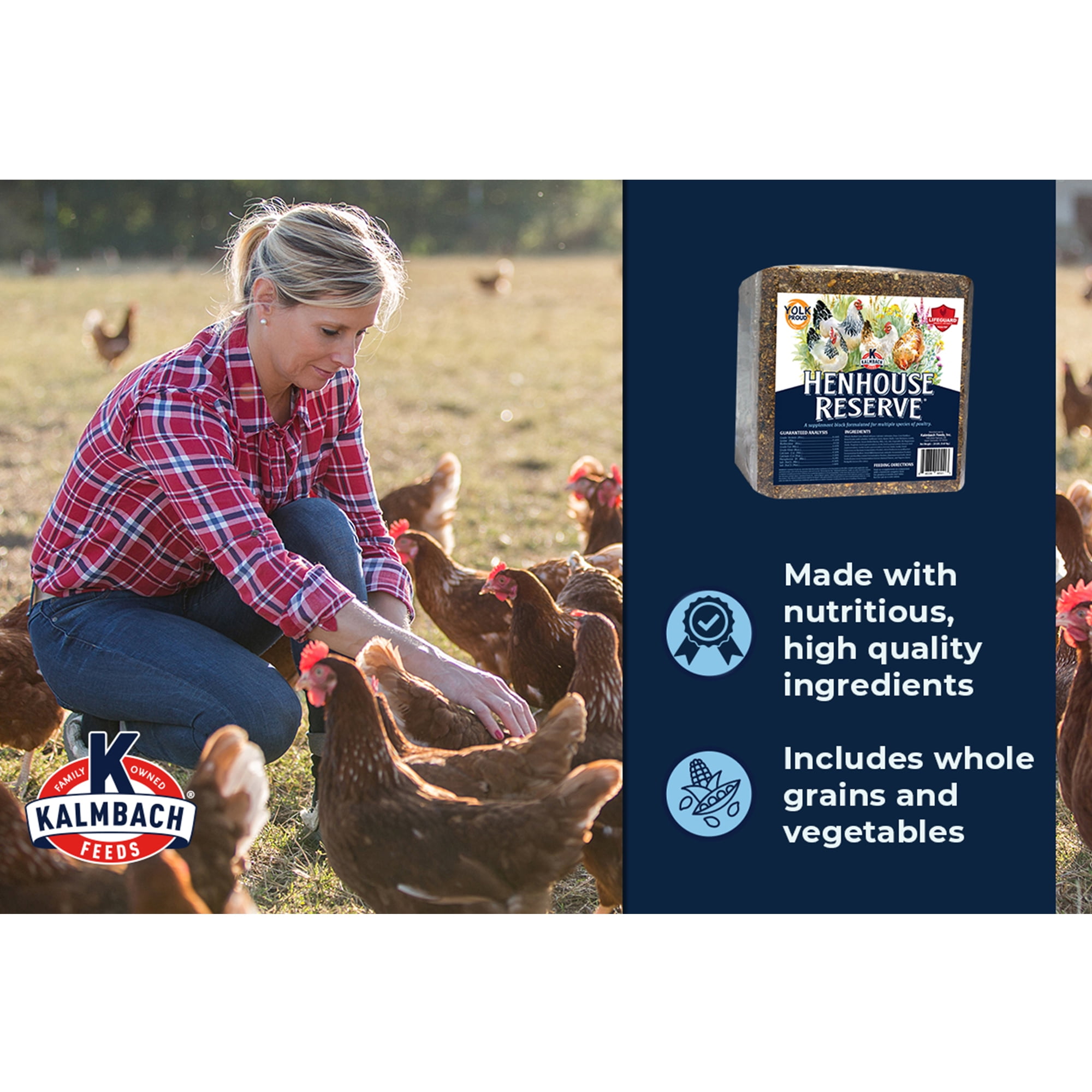 (3 pack) Kalmbach Feed Henhouse Reserve Treat Block for Chickens, 20 lb