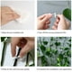 thumbnail image 4 of Plant Climbing Wall Fixture Clips,100Pcs Plant Fixer Self-Adhesive Hook,Garden Vegetable Plant Support Binding Clip Invisible, 4 of 5