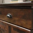 thumbnail image 3 of Sauder Harbor View Armoire de Rangement en Bois d'Entrée Contemporaine en Cerise Curado, 3 of 17