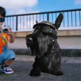 thumbnail image 6 of UOSIA Dog Helmet and Goggles for Small Dogs Summer Fashion Dog Sunglasses,S,Black, 6 of 6