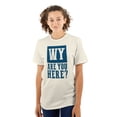 thumbnail image 3 of Wyoming Why are You Here Funny Locals Men's Graphic T Shirt Tees Brisco Brands 2X, 3 of 6