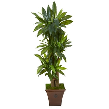 Nearly Natural 57in. Corn Stalk Dracaena Artificial Plant in Brown Planter (Real Touch)