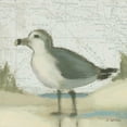 thumbnail image 2 of Wiens, James 15x15 White Modern Wood Framed Museum Art Print Titled - Beach Bird II, 2 of 4