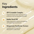 thumbnail image 4 of Torriden SOLID In Ceramide Lip Essence 0.37 fl.oz * 2 (Pack of 2) | Moisturizing Lip Essence for Glowy, Plumped, and Radiant Lip | Korean Lip Balm, 4 of 4
