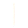 thumbnail image 5 of Restored Apple iPad Mini 4 16GB Gold Wi-Fi (Refurbished), 5 of 7