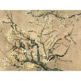 thumbnail image 3 of Van Gogh, Vincent 14x12 Black Modern Framed Museum Art Print Titled - Mandorlo in fiore (beige variation), 3 of 5
