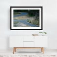 thumbnail image 2 of Rabbit’s Verdant Hunger in Oaks Bottom - Portland Oregon Photography Wildlife Woodland Nature Rural Scenic Landscape Black Framed Wall Art Print 5 x 7 inches, 2 of 4