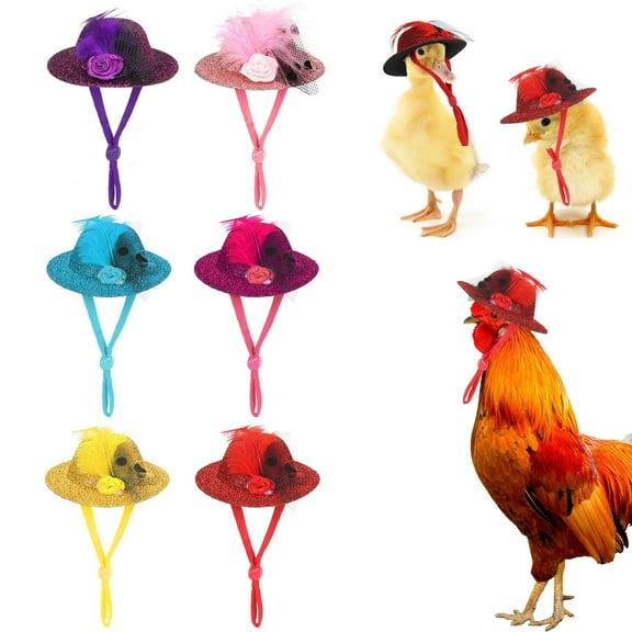 PULLIMORE 6PCS Chicken Hats for Hens Pets Feather Top Hat Rooster Duck Parrot Poultry Stylish Show Costume Funny Small Animal Accessories