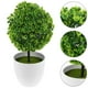 thumbnail image 5 of Bolas de plantas artificiales, bonsái decorativo de plantas simuladas, bola de flores de plástico para decoración (verde), 2 uds., 5 of 7
