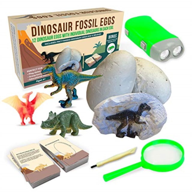diy dino dig kit