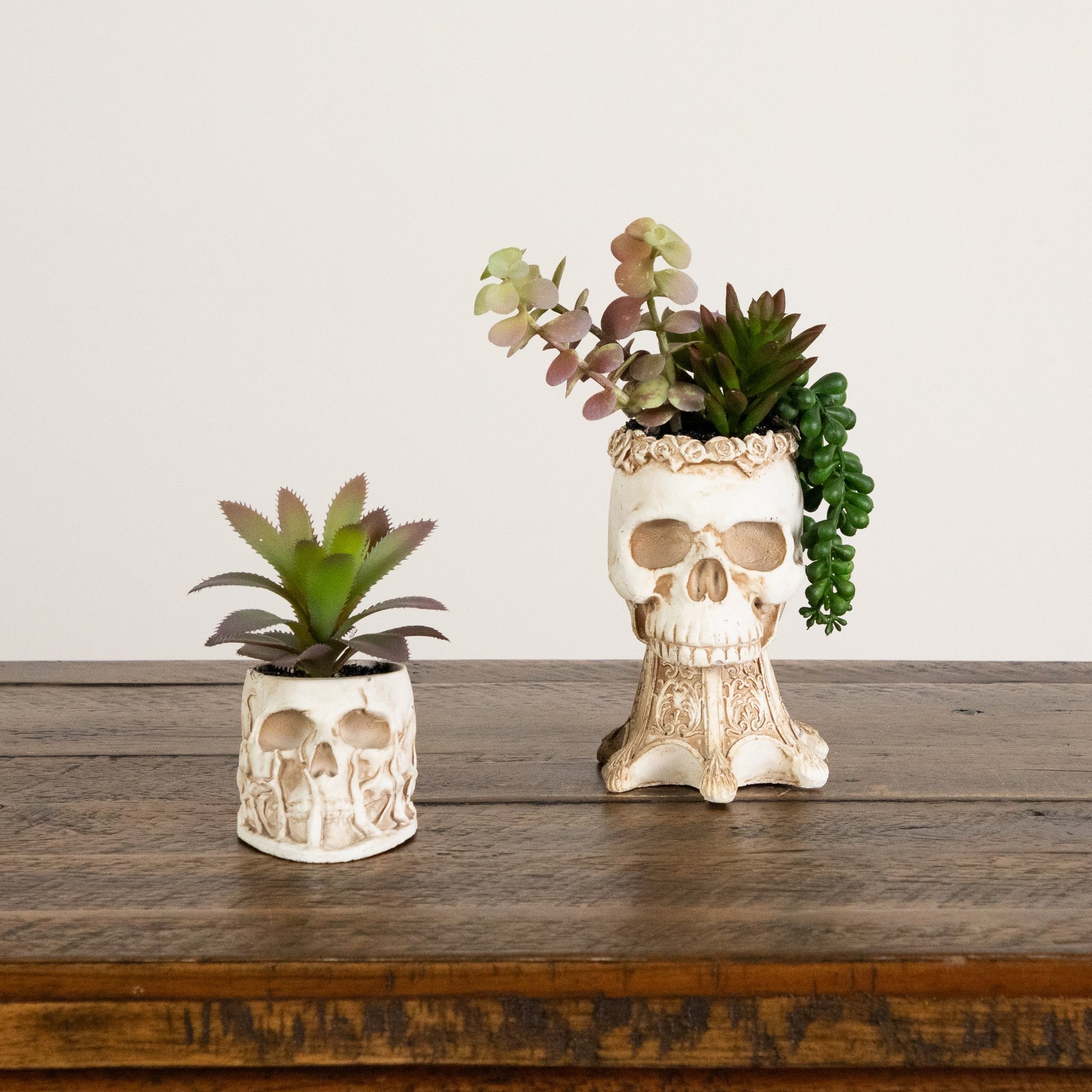5.5in. and 9in. Artificial Halloween Succulent Garden in Skull Planter - Set of 2