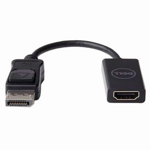 8 in. HDMI Female to Male DisplayPort Video Connector