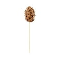 thumbnail image 2 of Natural Bamboo Mini Pine Cone Skewer - 4" x 3/4" x 3/4" - 500 count box, 2 of 3