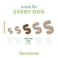 thumbnail image 4 of Benebone Tripe Bone Durable Dog Chew Toy for Aggressive Chewers, Real Tripe, Medium, 4 of 6