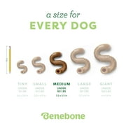 Benebone Tripe Bone Durable Dog Chew Toy for Aggressive Chewers, Real Tripe, Medium