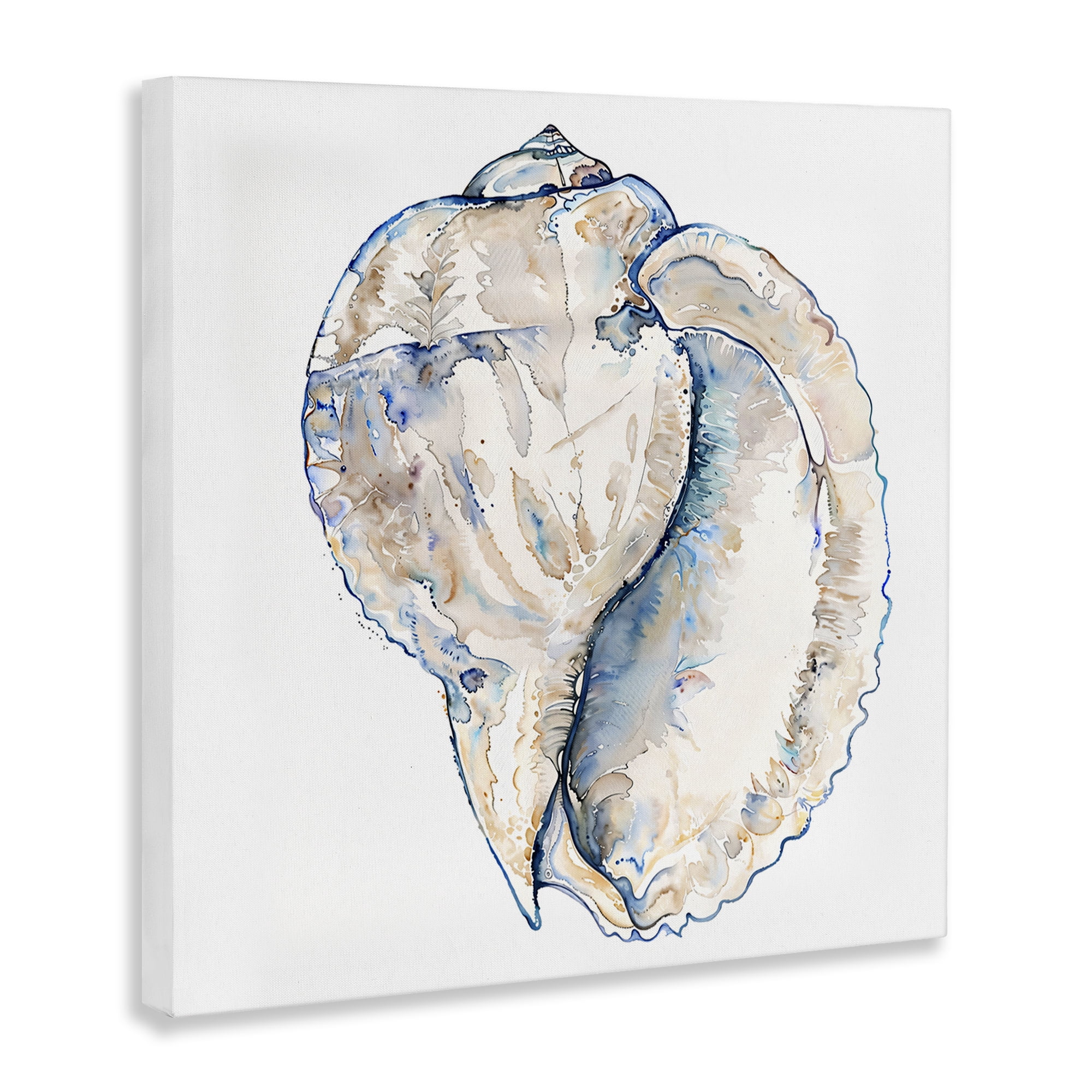 Stupell Industries Conch Shell on White Coastal Painting Gallery Wrapped Canvas Art Print Wall Art, 36 x 36