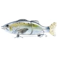 thumbnail image 1 of Señuelo de pesca con cebo para trucha TFixol de 6,7 pulgadas/3,1 oz, cuerpo duro de 2 segmentos, 1 of 8