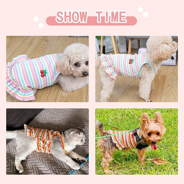  Puppy Shirt Cat Dog Rainbow Pet Winter Clothes