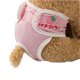 thumbnail image 1 of Pantalones Fisiológicos Suaves Para Mascotas, Pañales Ajustables Para Perros Femeninos, Pantalones Sanitarios Para Mascotas A Prueba De Fugas Monstrate PT002712-15, 1 of 6