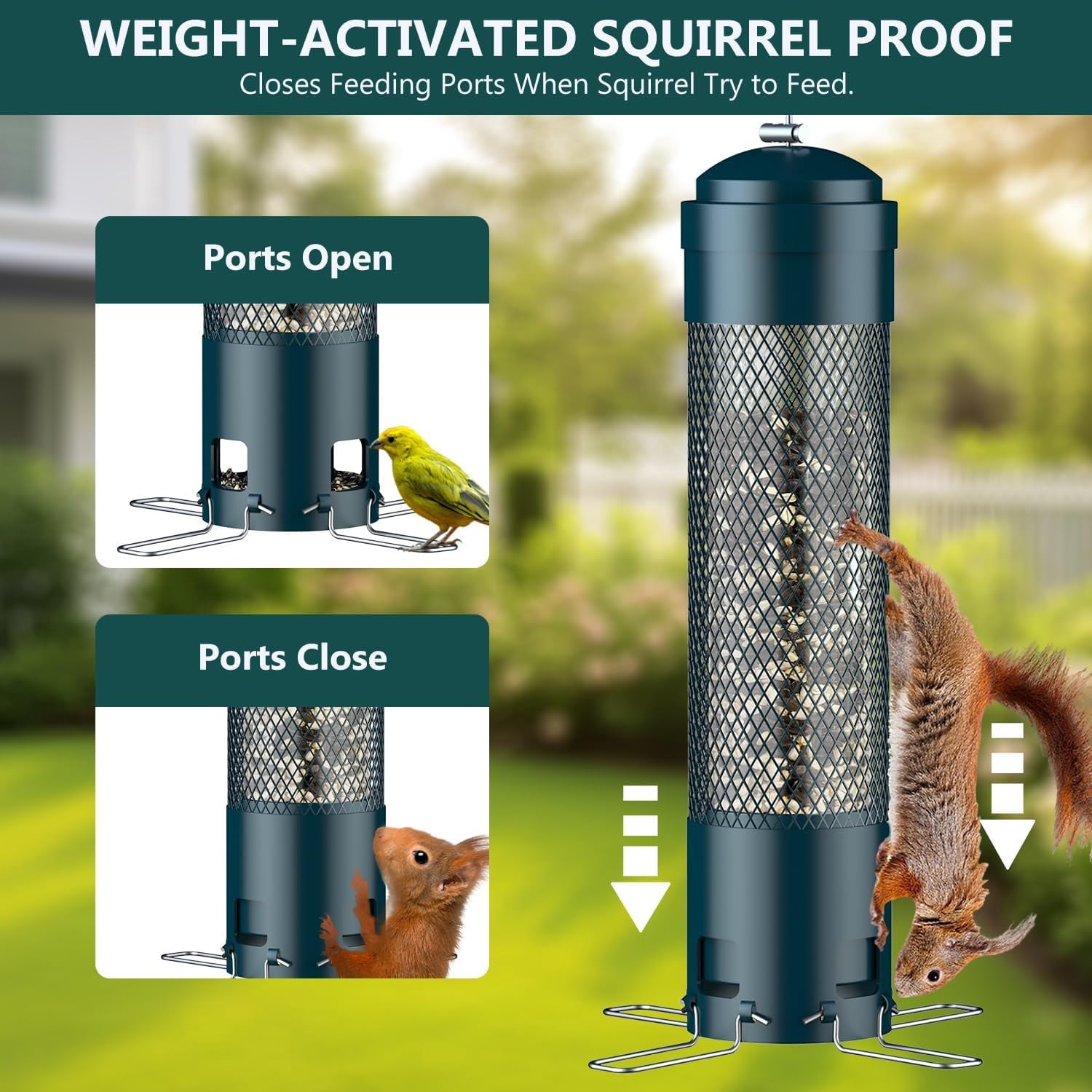 Bird Feeders for Outdoors Squirrel Proof with Weight-Activated Perches, Hanging Bird Feeder for Outside, Metal Feeder for Wild Cardinal, Finch, Blue Jay, Chickadee, 3.6LB Seed Capacity, Black