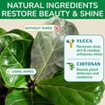 thumbnail image 4 of Leaf Cleaner Wipes for House Plants - Sparkling Leaf Shine for Indoor Plants - Houseplant Resource Center Plant Cleaning Wipes for Leaves - Root and Plant Duster Wipes 30 Count, 4 of 9